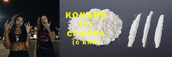 ПСИЛОЦИБИНОВЫЕ ГРИБЫ Переславль-Залесский
