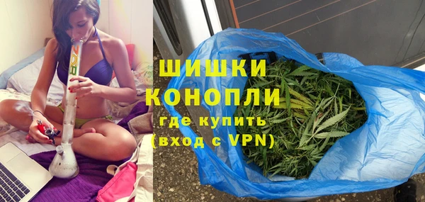 ПСИЛОЦИБИНОВЫЕ ГРИБЫ Переславль-Залесский