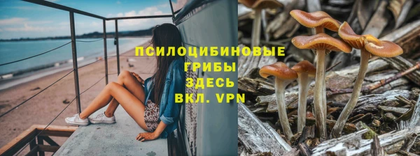 хмурый Шадринск
