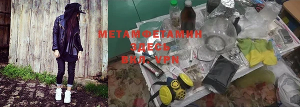 ПСИЛОЦИБИНОВЫЕ ГРИБЫ Переславль-Залесский