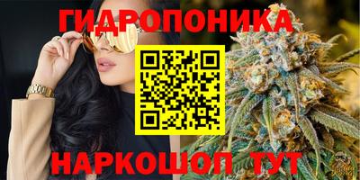 прущие крисы Донской