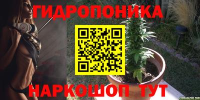 амф Дубна