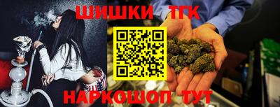 амф Дубна