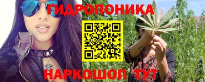 прущие крисы Донской