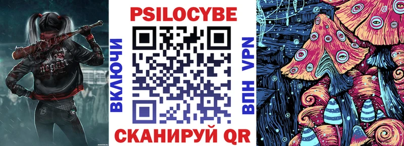 как найти закладки  Нальчик  Псилоцибиновые грибы Cubensis 