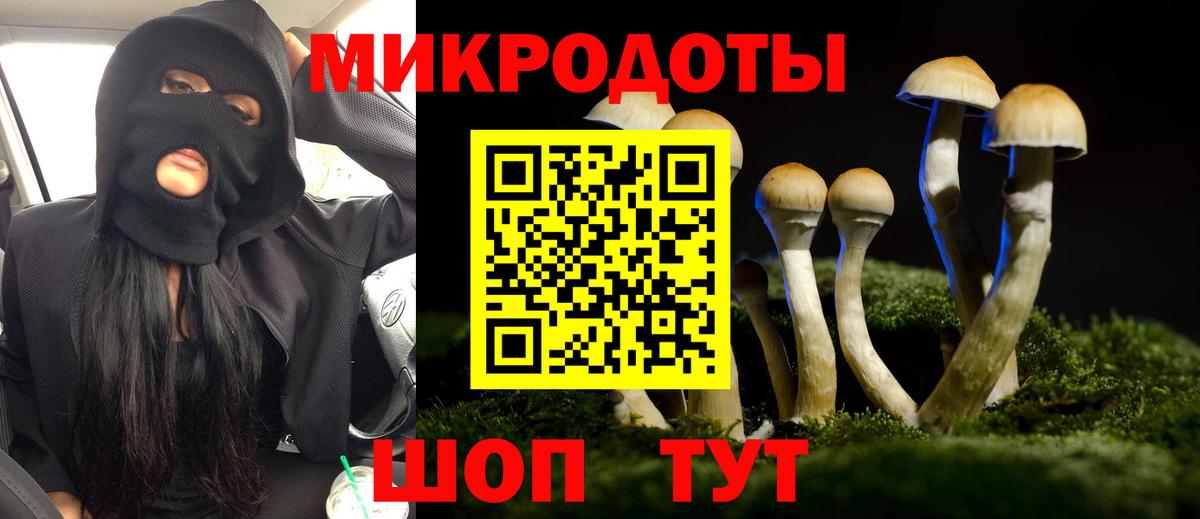 Галлюциногенные грибы GOLDEN TEACHER  Вход с VPN  сколько стоит  Нальчик 
